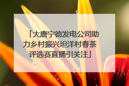 大唐宁德发电公司助力乡村振兴坦洋村春茶评选赛直播引关注