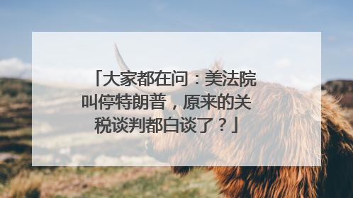 大家都在问：美法院叫停特朗普，原来的关税谈判都白谈了？