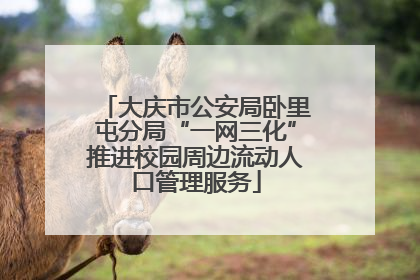 大庆市公安局卧里屯分局“一网三化”推进校园周边流动人口管理服务