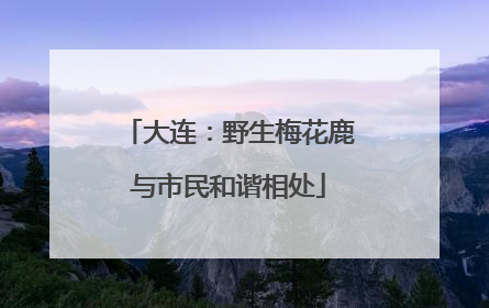 大连：野生梅花鹿与市民和谐相处