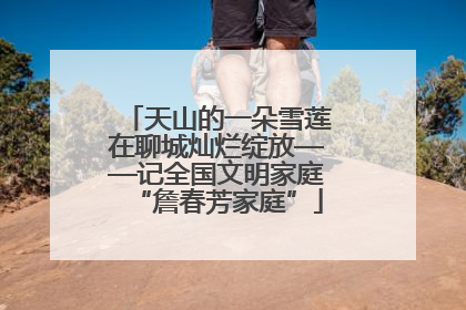 天山的一朵雪莲在聊城灿烂绽放——记全国文明家庭“詹春芳家庭”