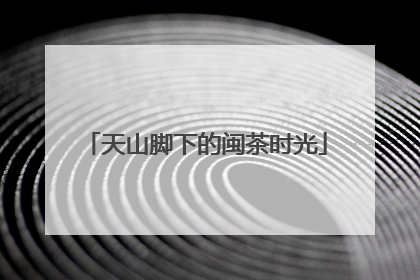 天山脚下的闽茶时光