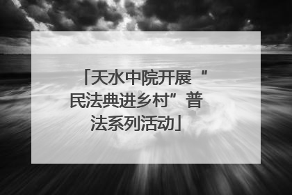 天水中院开展“民法典进乡村”普法系列活动