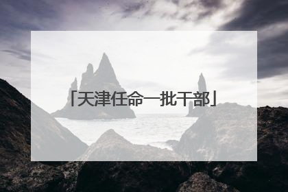 天津任命一批干部