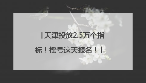 天津投放2.5万个指标！摇号这天报名！