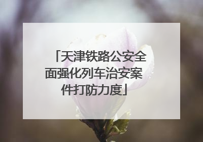 天津铁路公安全面强化列车治安案件打防力度