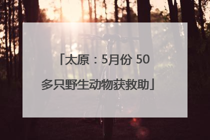 太原：5月份 50多只野生动物获救助