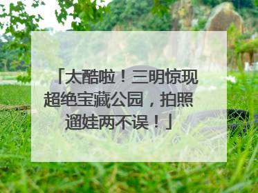 太酷啦！三明惊现超绝宝藏公园，拍照遛娃两不误！