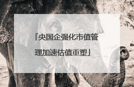 央国企强化市值管理加速估值重塑