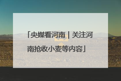 央媒看河南｜关注河南抢收小麦等内容