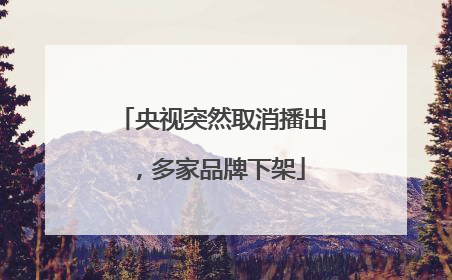 央视突然取消播出，多家品牌下架
