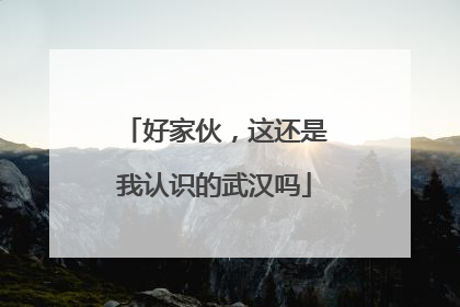 好家伙，这还是我认识的武汉吗