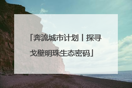 奔流城市计划丨探寻戈壁明珠生态密码