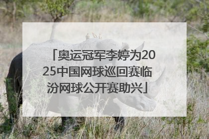 奥运冠军李婷为2025中国网球巡回赛临汾网球公开赛助兴