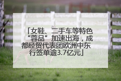 女鞋、二手车等特色“蓉品”加速出海，成都经贸代表团欧洲中东行签单逾3.7亿元
