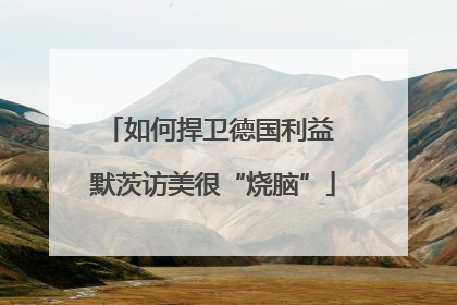 如何捍卫德国利益 默茨访美很“烧脑”