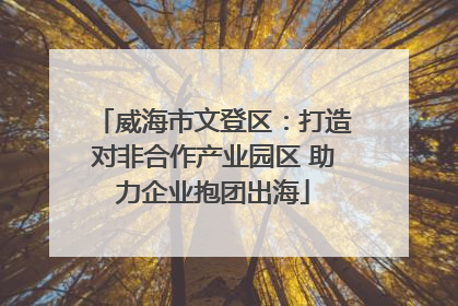 威海市文登区：打造对非合作产业园区 助力企业抱团出海