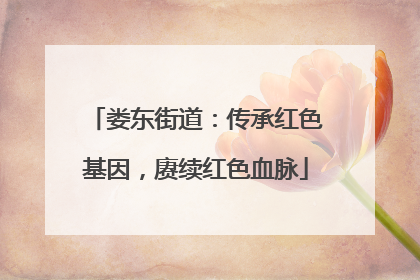 娄东街道：传承红色基因，赓续红色血脉