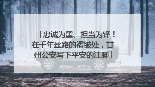 忠诚为墨、担当为锋！在千年丝路的褶皱处，甘州公安写下平安的注脚