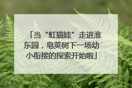 当“虹猫娃”走进淮东园，皂荚树下一场幼小衔接的探索开始啦