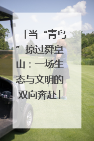 当“青鸟”掠过舜皇山：一场生态与文明的双向奔赴