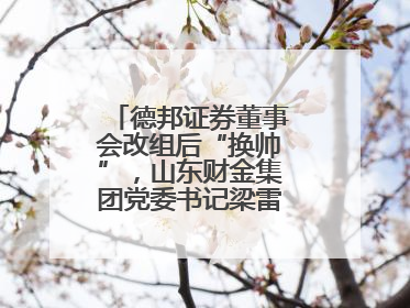 德邦证券董事会改组后“换帅”，山东财金集团党委书记梁雷出任董事长