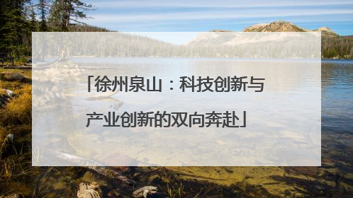 徐州泉山：科技创新与产业创新的双向奔赴