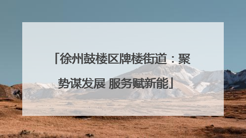徐州鼓楼区牌楼街道：聚势谋发展 服务赋新能