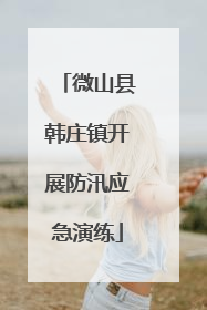 微山县韩庄镇开展防汛应急演练