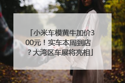 小米车模黄牛加价300元！实车本周到店？大湾区车展将亮相