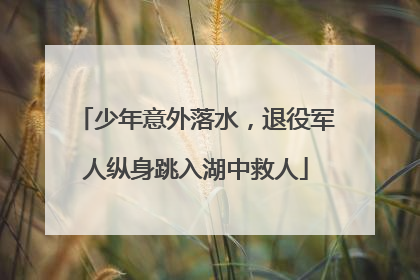 少年意外落水，退役军人纵身跳入湖中救人