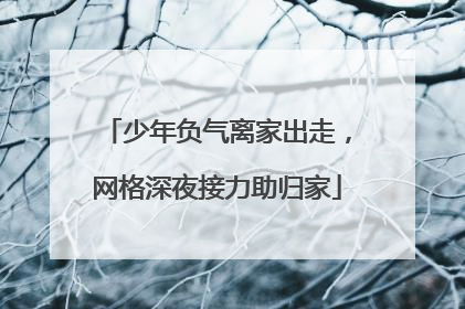 少年负气离家出走，网格深夜接力助归家