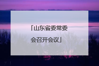 山东省委常委会召开会议