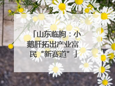 山东临朐：小鹅肝拓出产业富民“新赛道”