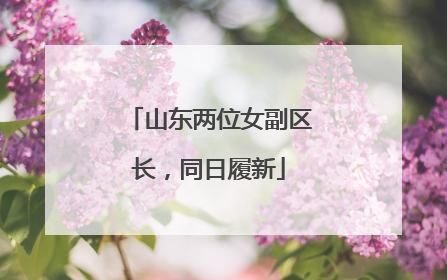 山东两位女副区长，同日履新
