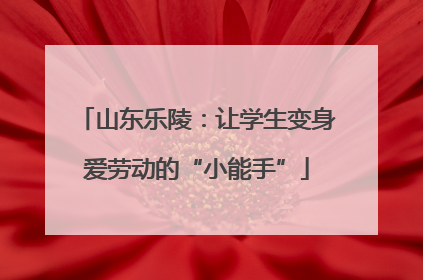 山东乐陵：让学生变身爱劳动的“小能手”