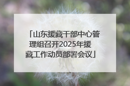 山东援藏干部中心管理组召开2025年援藏工作动员部署会议