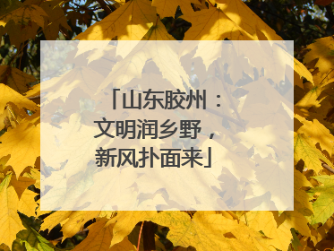 山东胶州：文明润乡野，新风扑面来