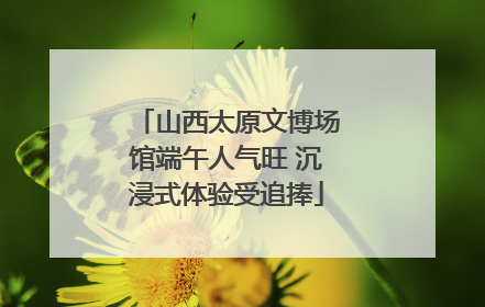 山西太原文博场馆端午人气旺 沉浸式体验受追捧
