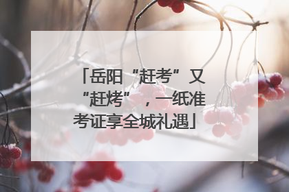岳阳“赶考”又“赶烤”，一纸准考证享全城礼遇