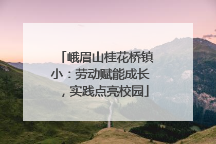 峨眉山桂花桥镇小：劳动赋能成长，实践点亮校园