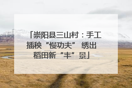 崇阳县三山村：手工插秧“慢功夫” 绣出稻田新“丰”景