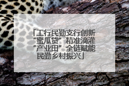 工行民勤支行创新“蜜瓜贷”精准滴灌“产业田”全链赋能民勤乡村振兴