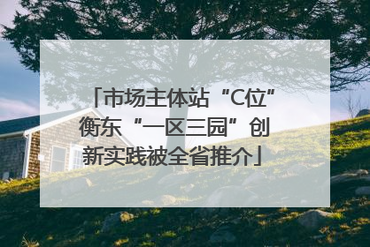 市场主体站“C位” 衡东“一区三园”创新实践被全省推介