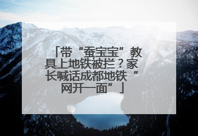 带“蚕宝宝”教具上地铁被拦？家长喊话成都地铁“网开一面”