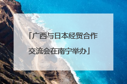 广西与日本经贸合作交流会在南宁举办