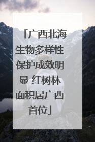 广西北海生物多样性保护成效明显 红树林面积居广西首位