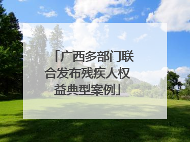 广西多部门联合发布残疾人权益典型案例