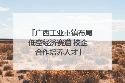 广西工业重镇布局低空经济赛道 校企合作培养人才