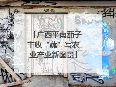 广西平南茄子丰收“蔬”写农业产业新图景